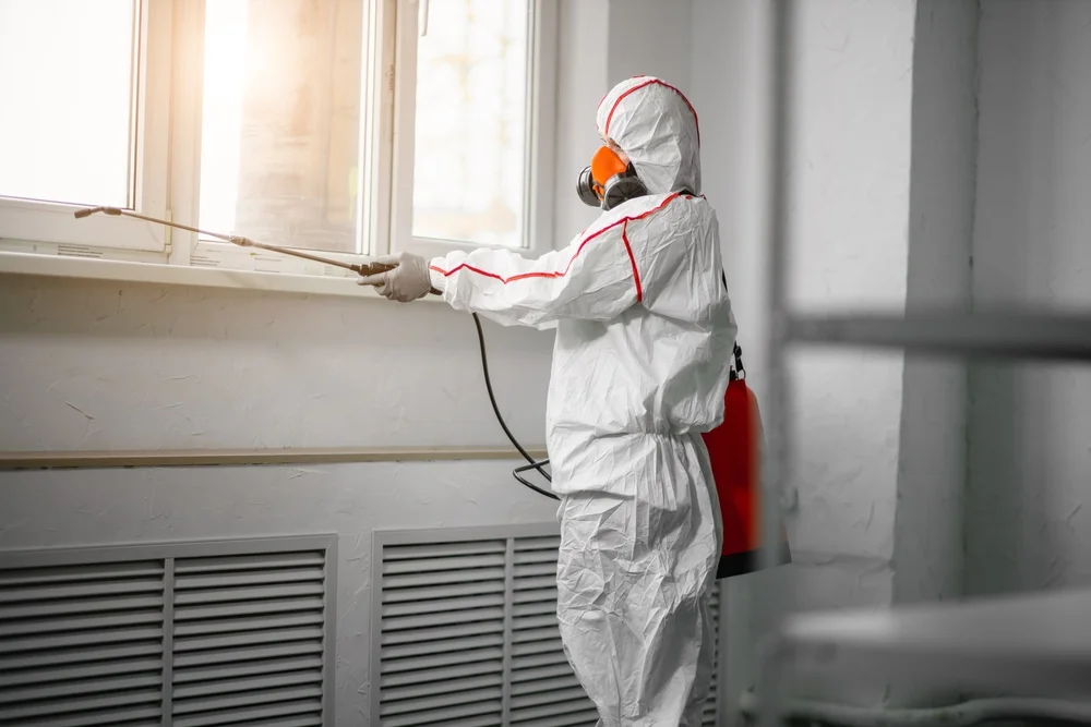 Professional mold remediation services in Glenshaw, PA